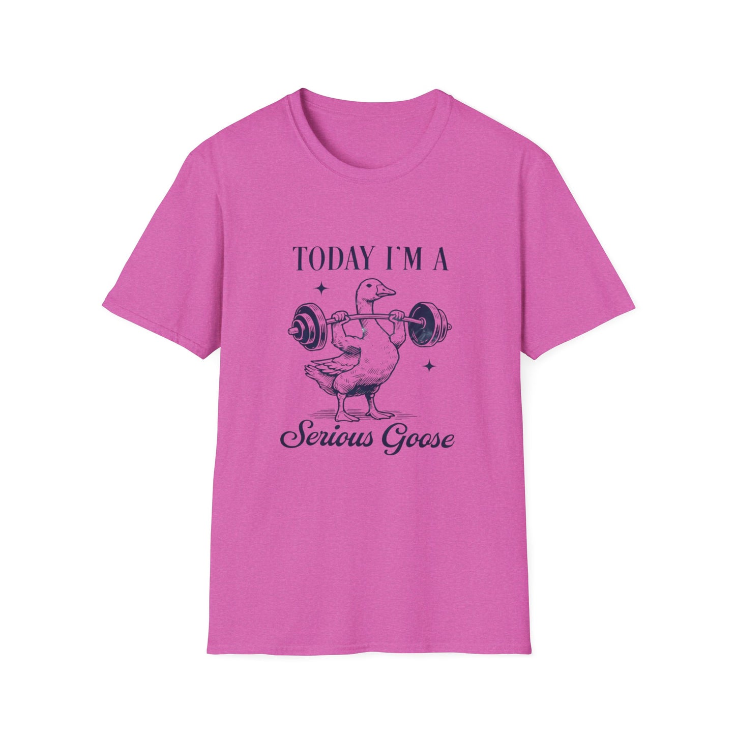 Serious Goose Tee Serious Goose Soft Vintage Style Tee, Funny Goose T-shirt