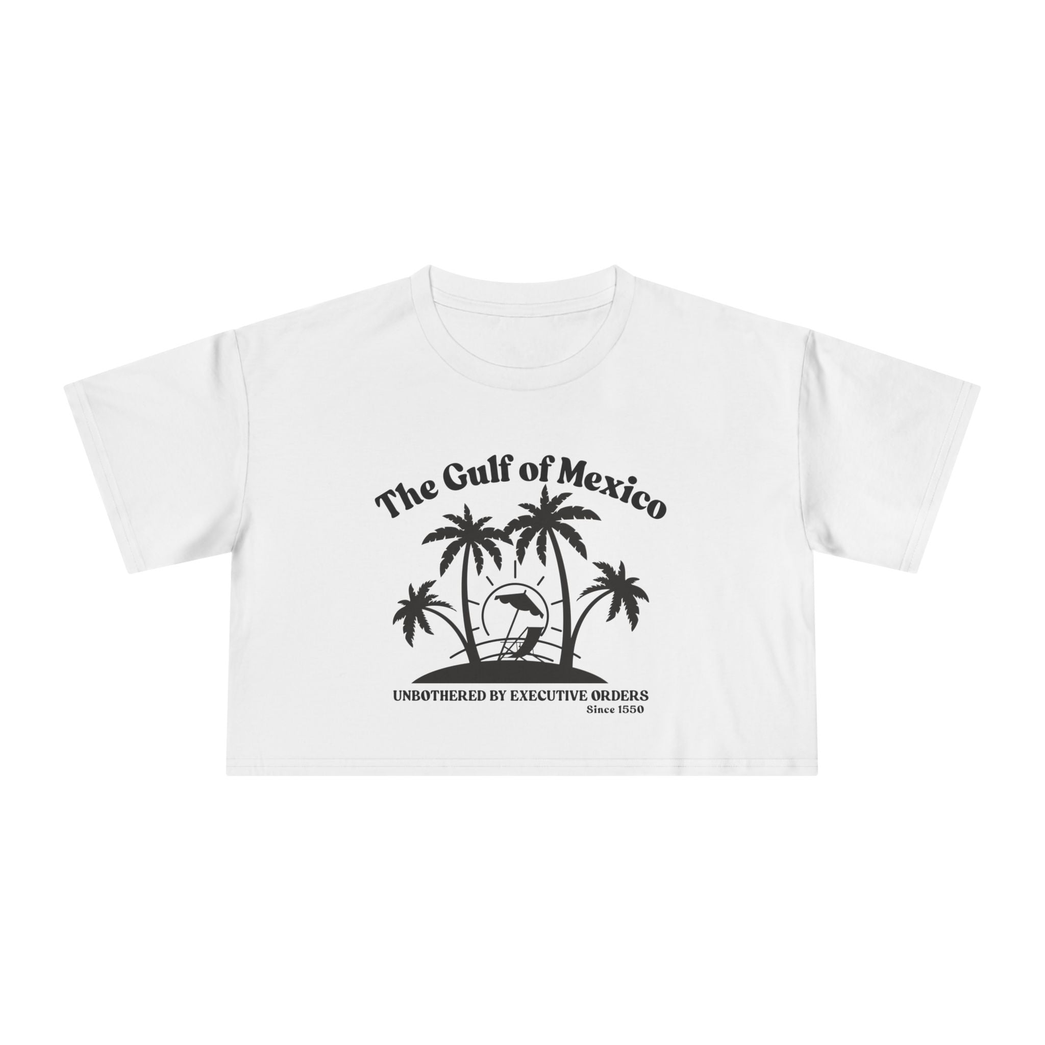 Gulf of Mexico Graphic Crop Tee,  Beachwear Gift for Her, Vacation Top, Gulf of Mexico T Shirt