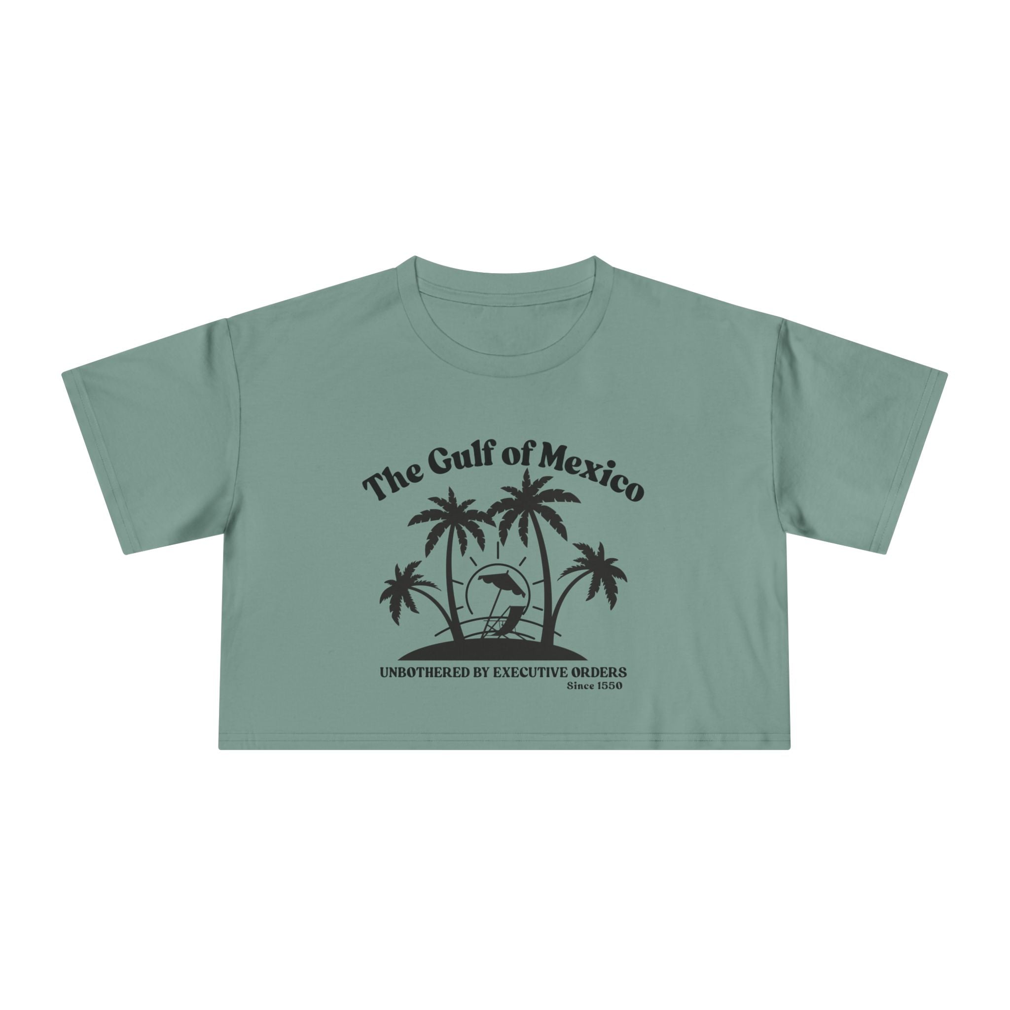 Gulf of Mexico Graphic Crop Tee,  Beachwear Gift for Her, Vacation Top, Gulf of Mexico T Shirt