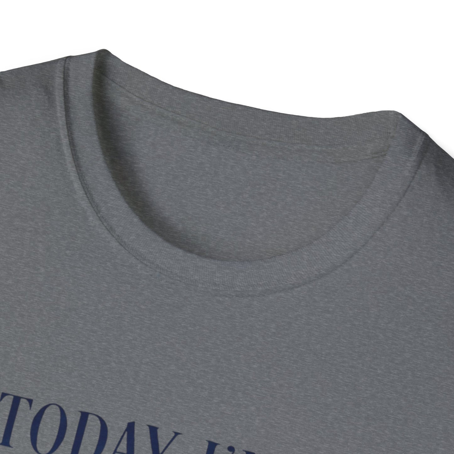 Serious Goose Tee Serious Goose Soft Vintage Style Tee, Funny Goose T-shirt