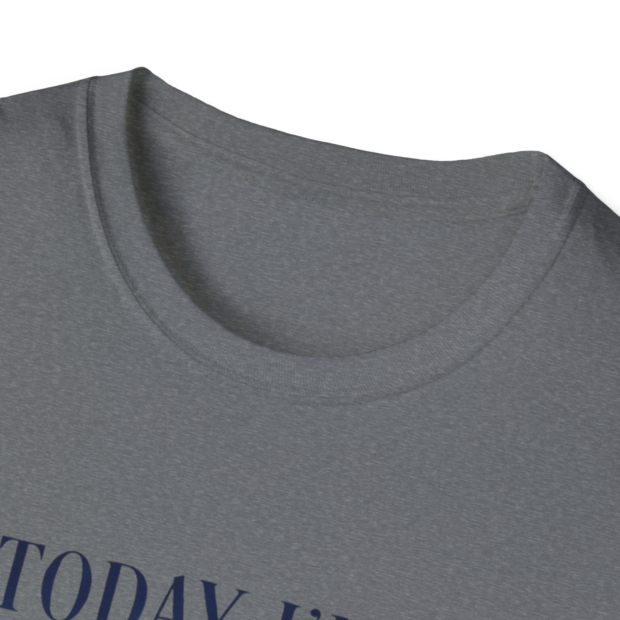 Serious Goose Tee Serious Goose Soft Vintage Style Tee, Funny Goose T-shirt