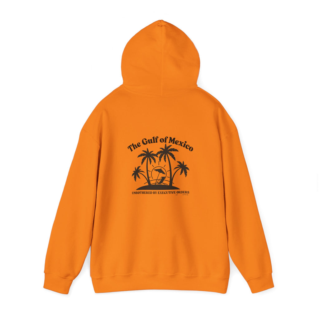 Gulf of Mexico Hoodie Unisex Sweatshirt, Summer Hoodie Gulf of Mexico Since 1550 Vacation Essentials