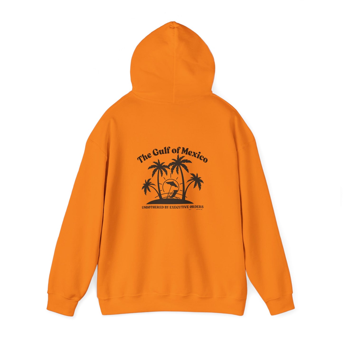 Gulf of Mexico Hoodie Unisex Sweatshirt, Summer Hoodie Gulf of Mexico Since 1550 Vacation Essentials
