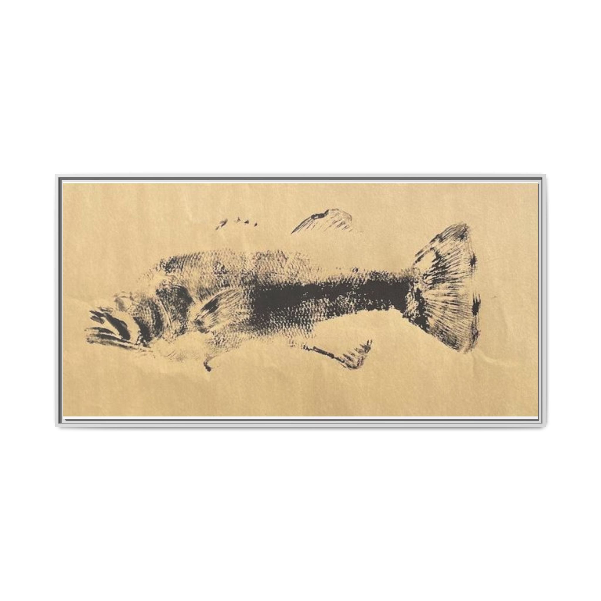 Gyotaku Fish Matte Canvas, Framed Gyotaku print by rubbing the body of an inked fish
