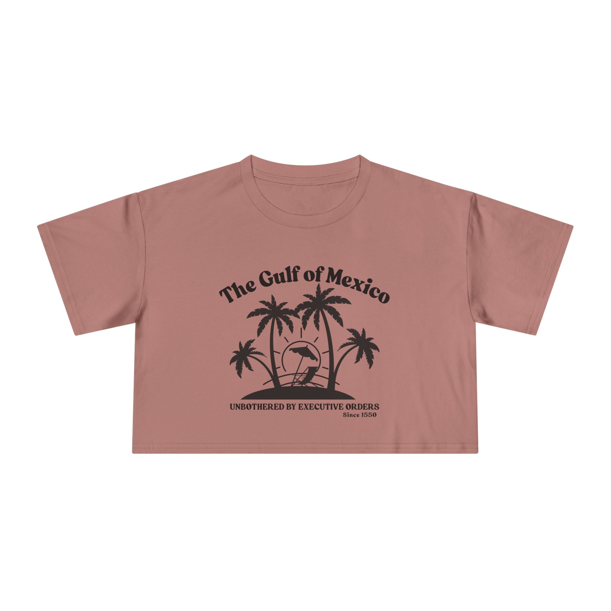 Gulf of Mexico Graphic Crop Tee,  Beachwear Gift for Her, Vacation Top, Gulf of Mexico T Shirt