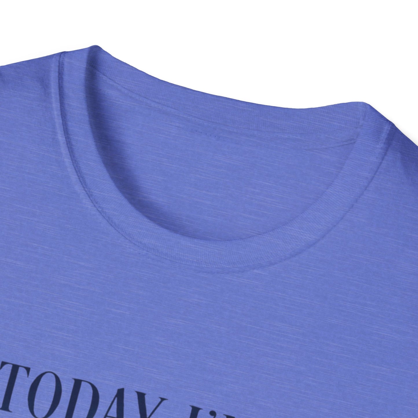 Serious Goose Tee Serious Goose Soft Vintage Style Tee, Funny Goose T-shirt