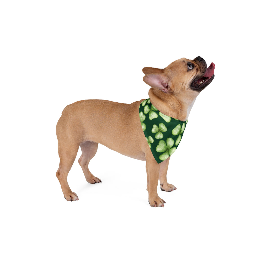 Irish Pet Bandana Shamrock Dog Bandana St. Patrick's Dog Bandana