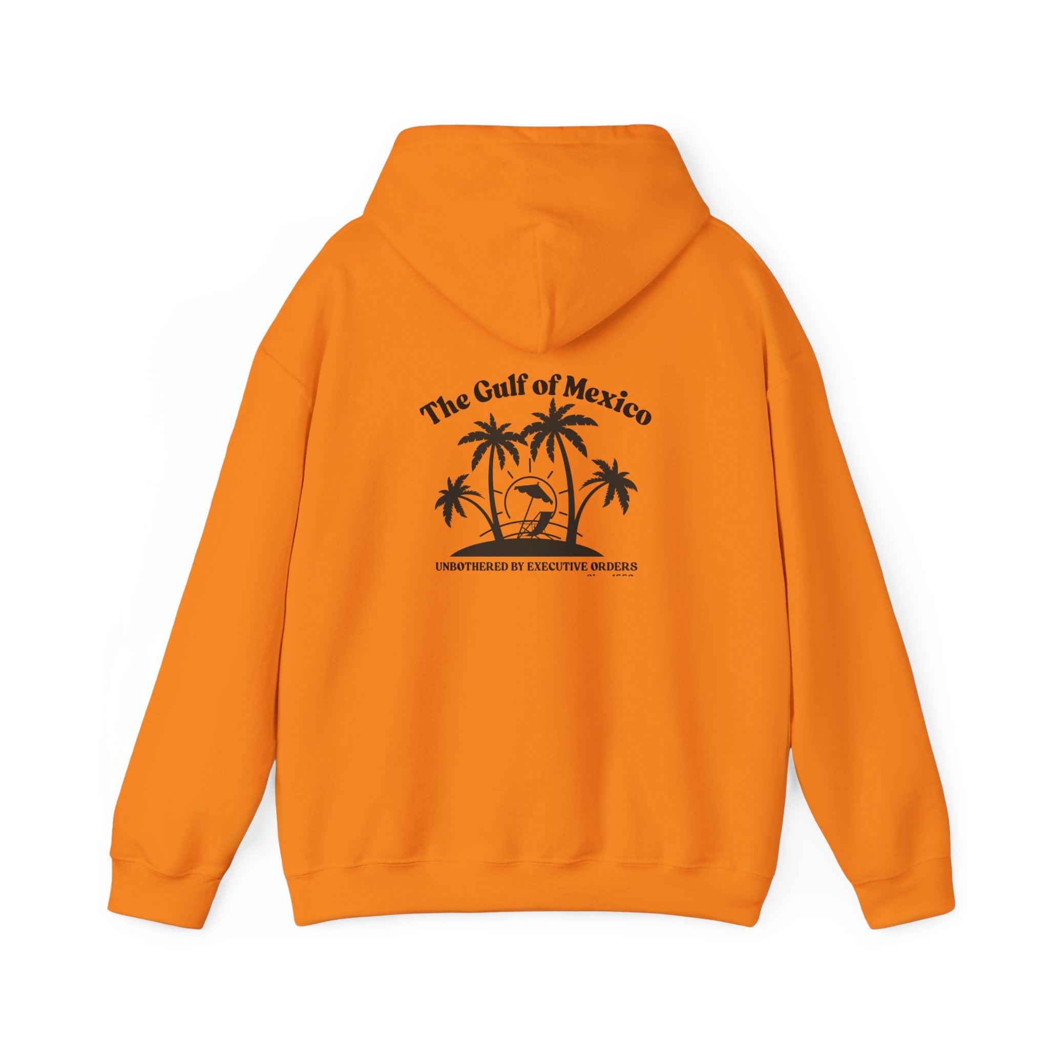 Gulf of Mexico Hoodie Unisex Sweatshirt, Summer Hoodie Gulf of Mexico Since 1550 Vacation Essentials