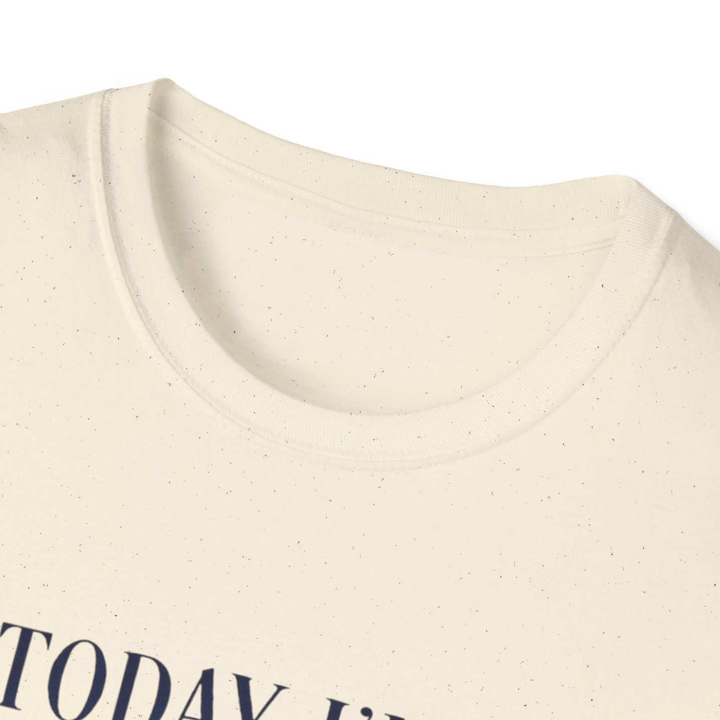 Serious Goose Tee Serious Goose Soft Vintage Style Tee, Funny Goose T-shirt