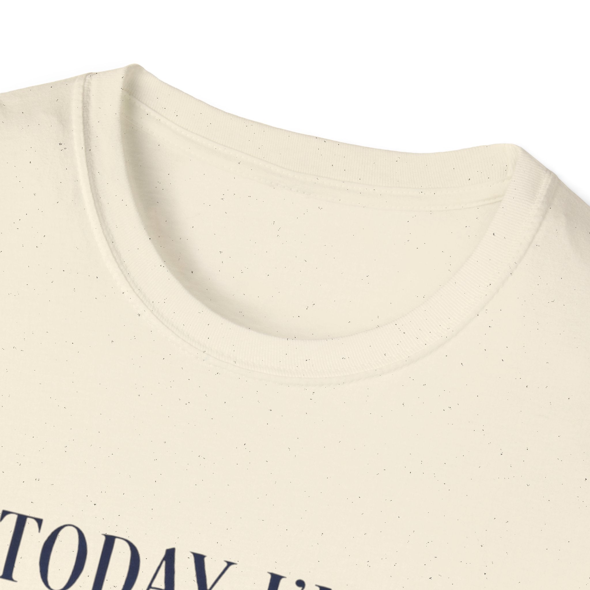 Serious Goose Tee Serious Goose Soft Vintage Style Tee, Funny Goose T-shirt