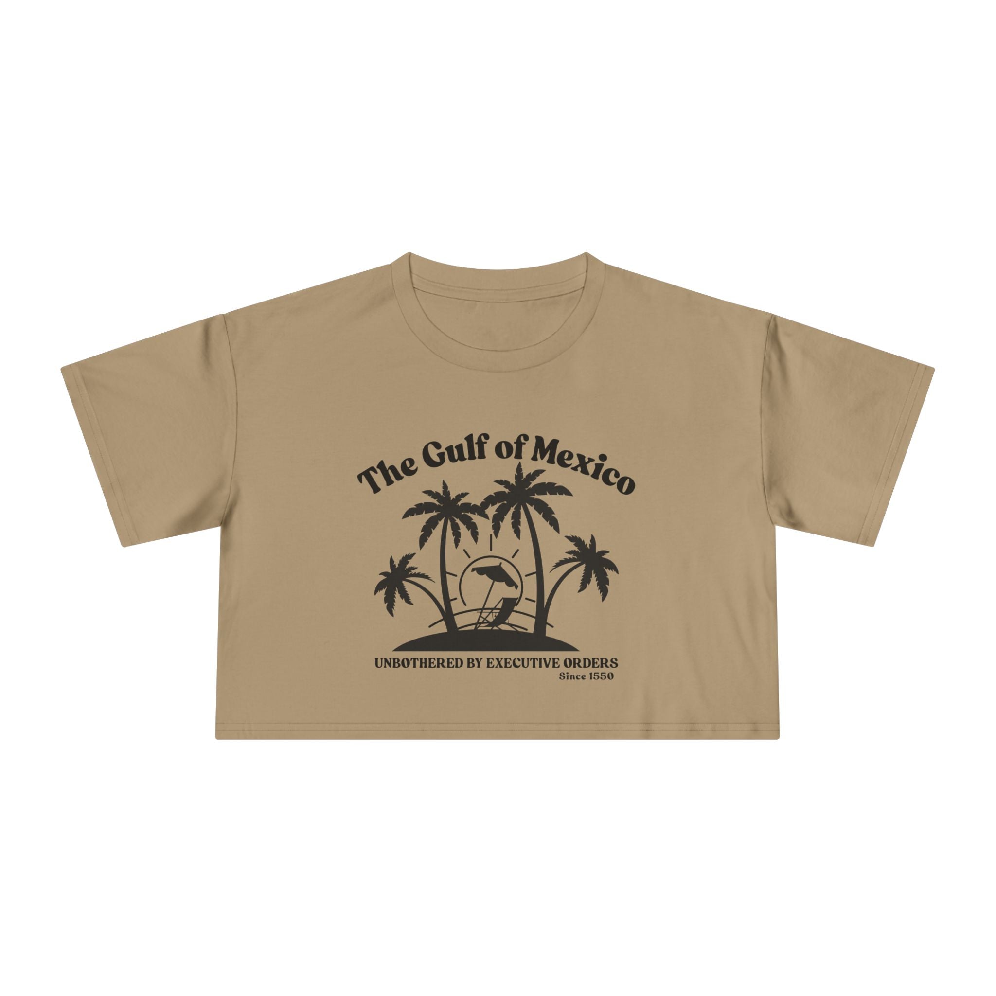 Gulf of Mexico Graphic Crop Tee,  Beachwear Gift for Her, Vacation Top, Gulf of Mexico T Shirt