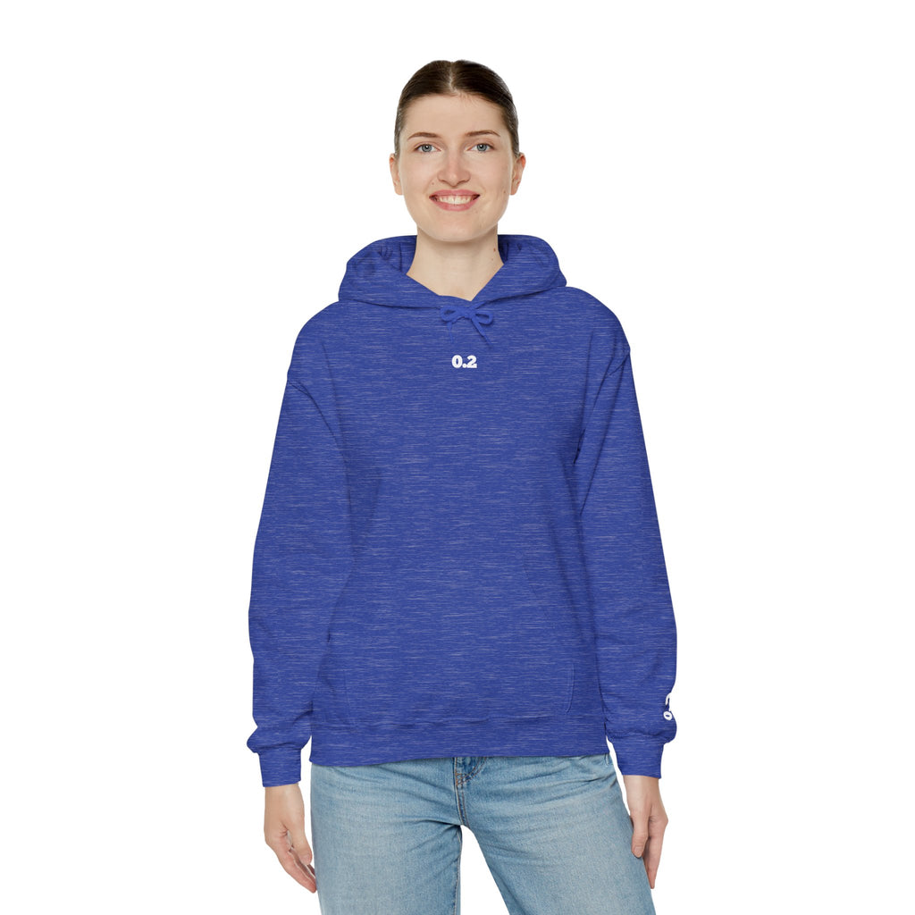 0.2 Hoodie Jewish Pride 0.2 CLASSIC HOODIE 0.2 Sweatshirt