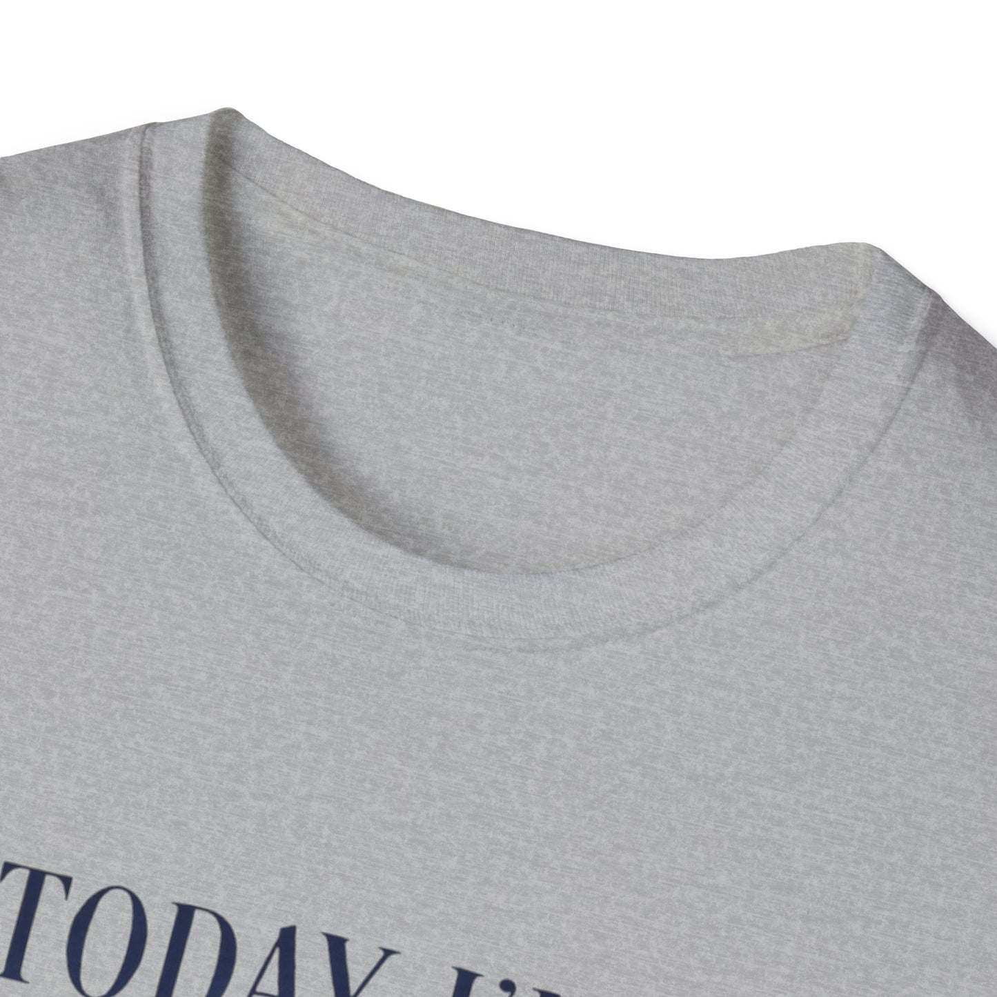 Serious Goose Tee Serious Goose Soft Vintage Style Tee, Funny Goose T-shirt