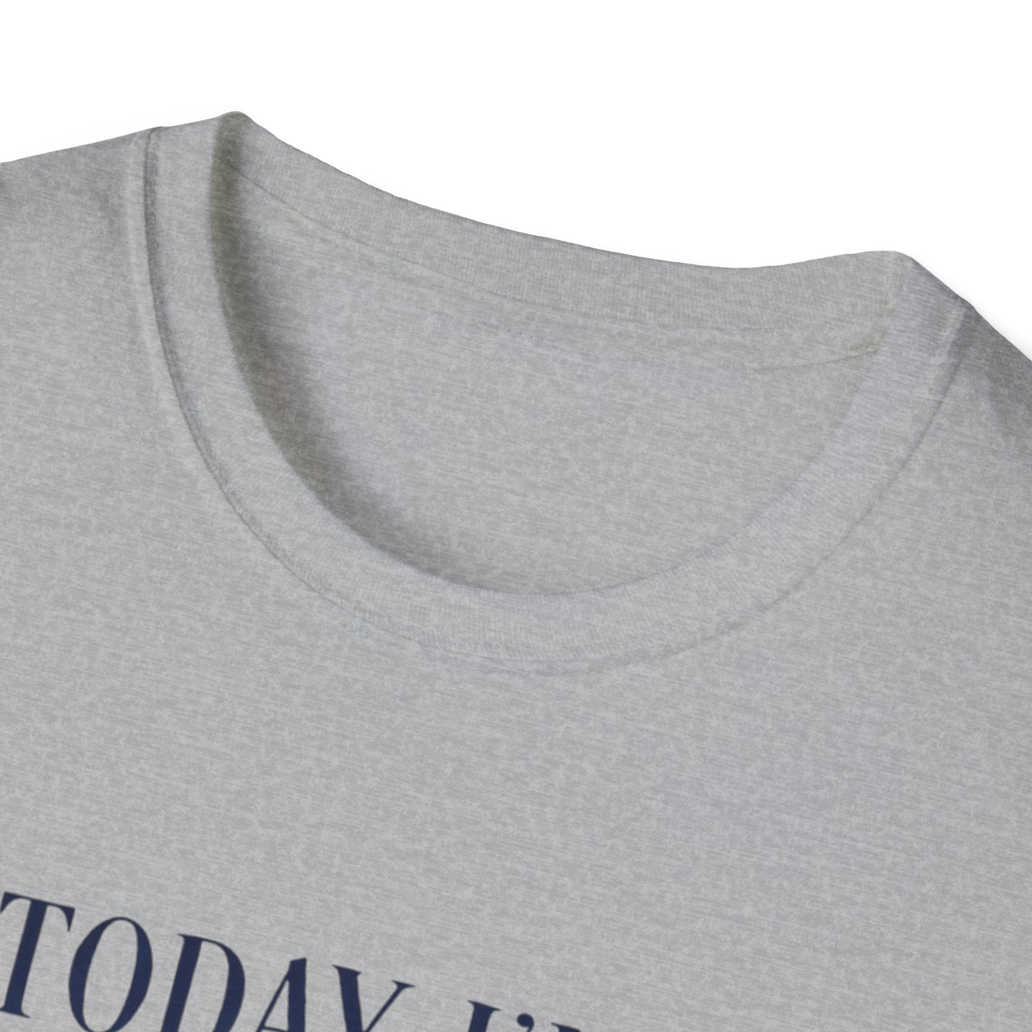 Serious Goose Tee Serious Goose Soft Vintage Style Tee, Funny Goose T-shirt