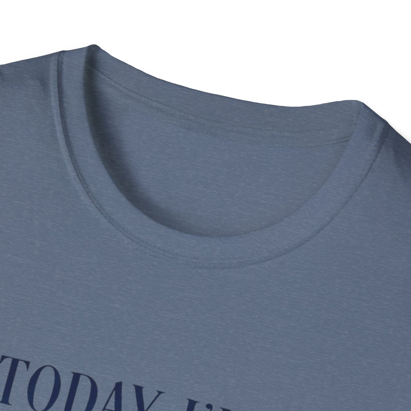 Serious Goose Tee Serious Goose Soft Vintage Style Tee, Funny Goose T-shirt