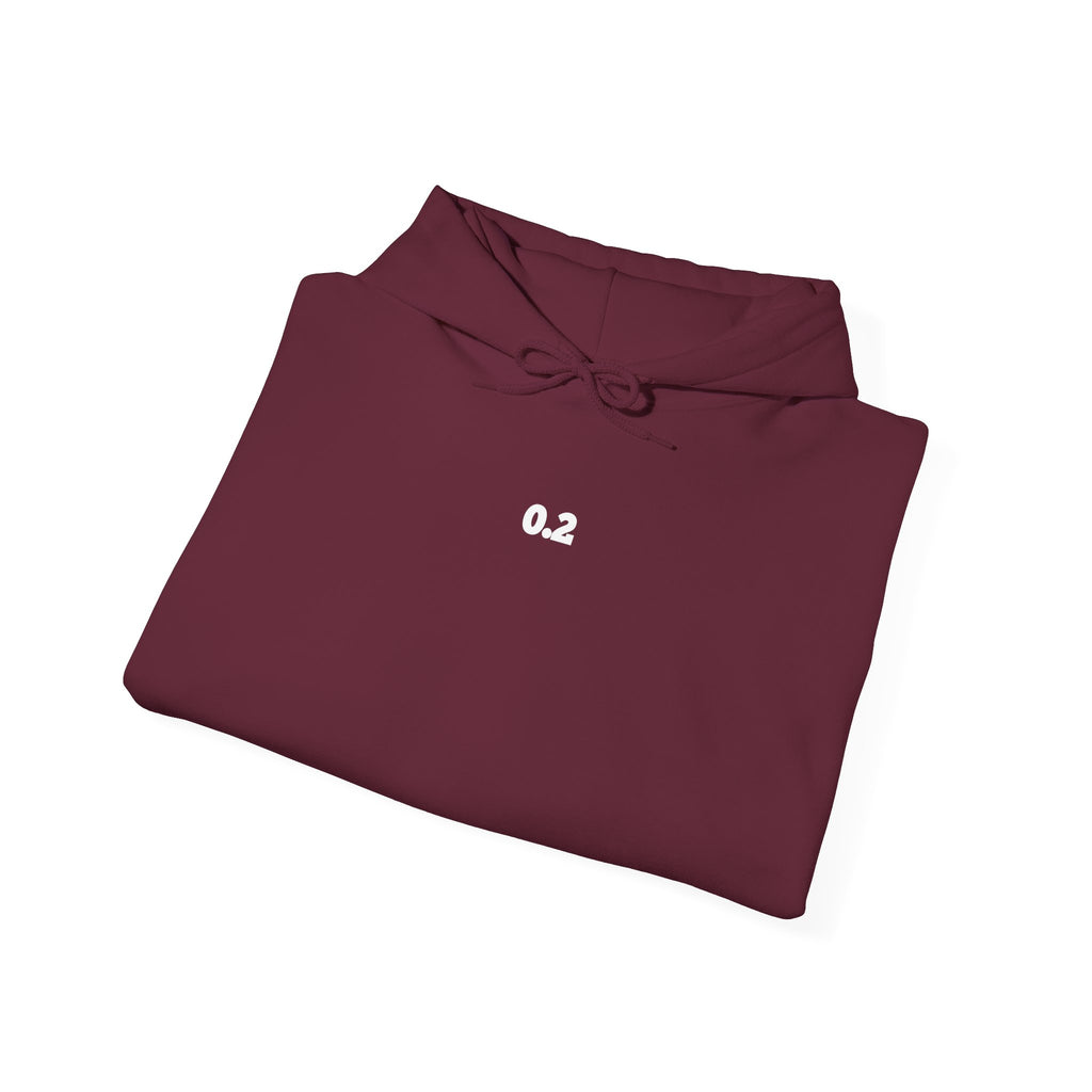 0.2 Hoodie Jewish Pride 0.2 CLASSIC HOODIE 0.2 Sweatshirt