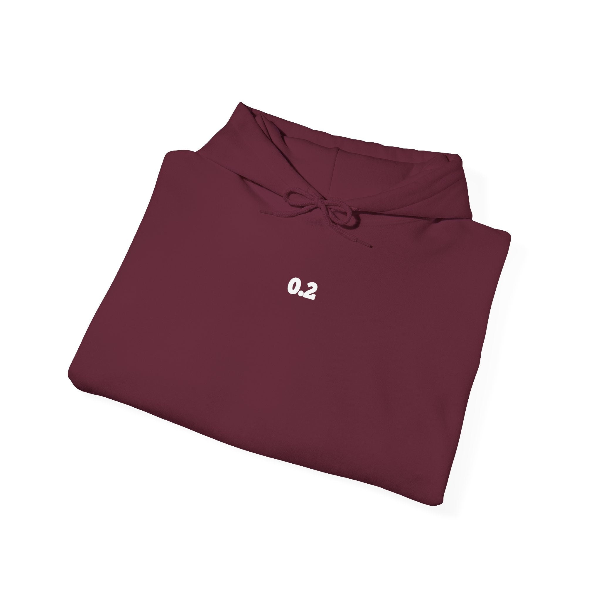 0.2 Hoodie Jewish Pride 0.2 CLASSIC HOODIE 0.2 Sweatshirt
