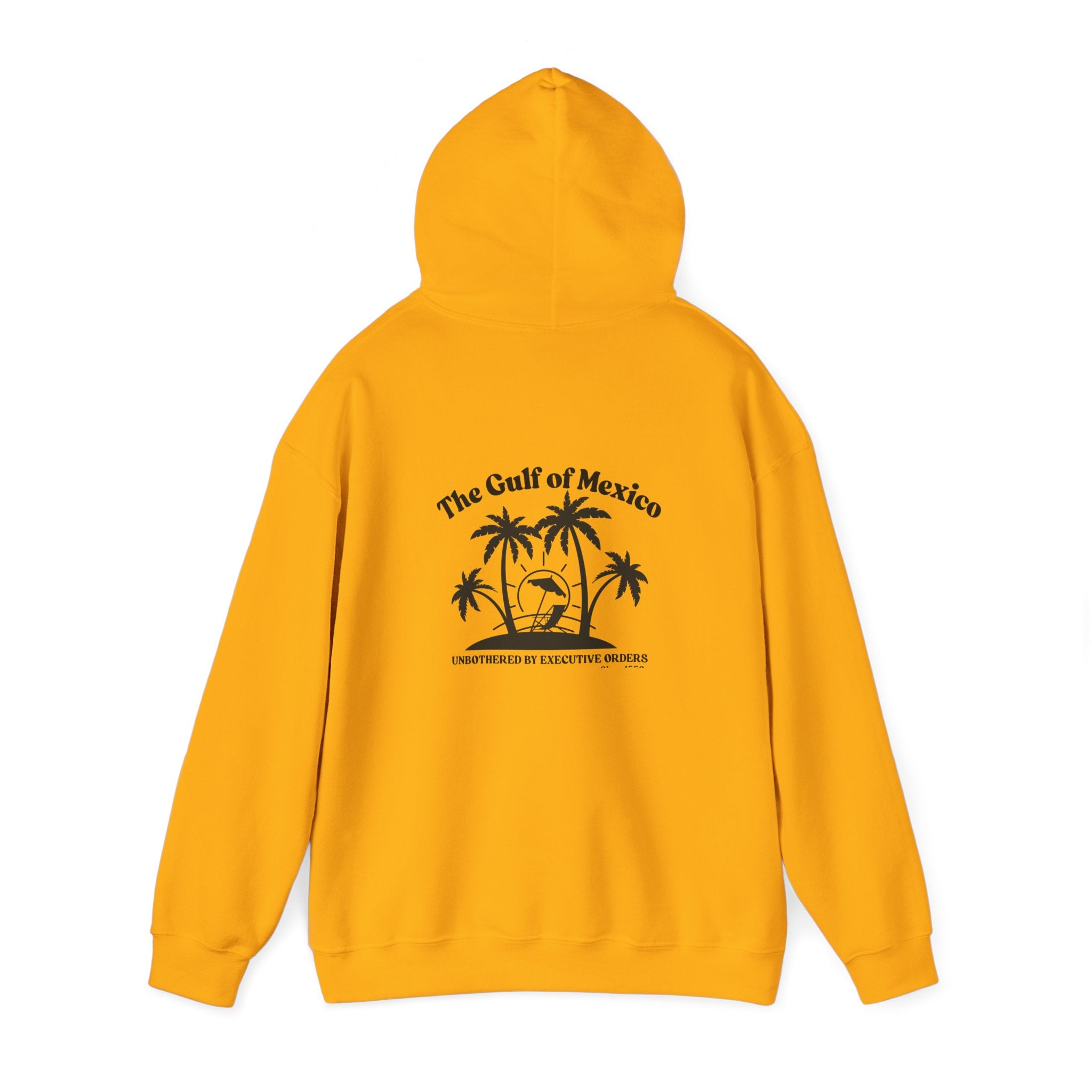 Gulf of Mexico Hoodie Unisex Sweatshirt, Summer Hoodie Gulf of Mexico Since 1550 Vacation Essentials
