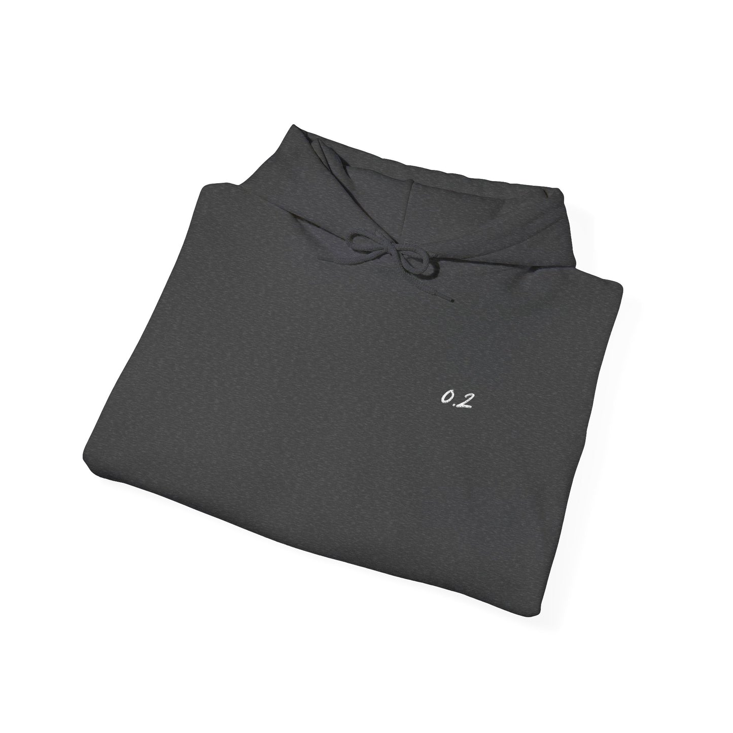 0.2 CLASSIC HOODIE ZERO POINT TWO SWEATSHIRT