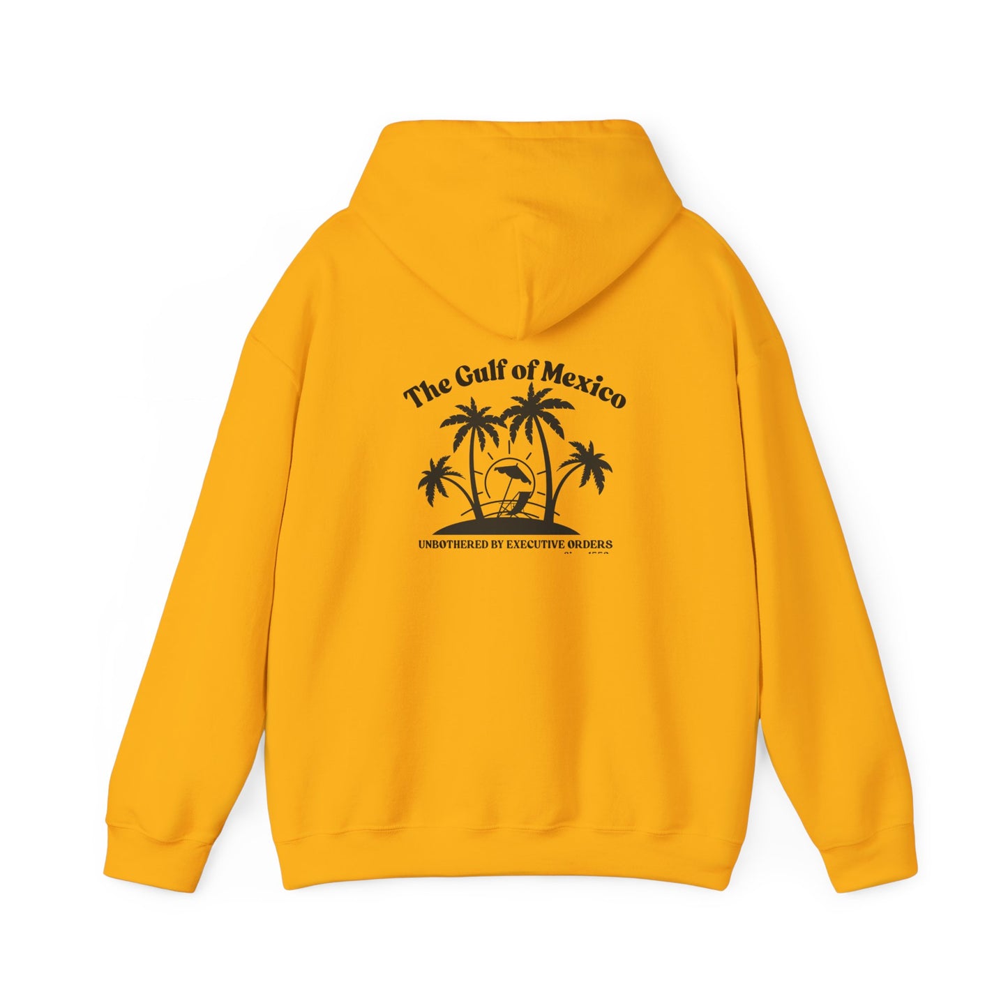 Gulf of Mexico Hoodie Unisex Sweatshirt, Summer Hoodie Gulf of Mexico Since 1550 Vacation Essentials