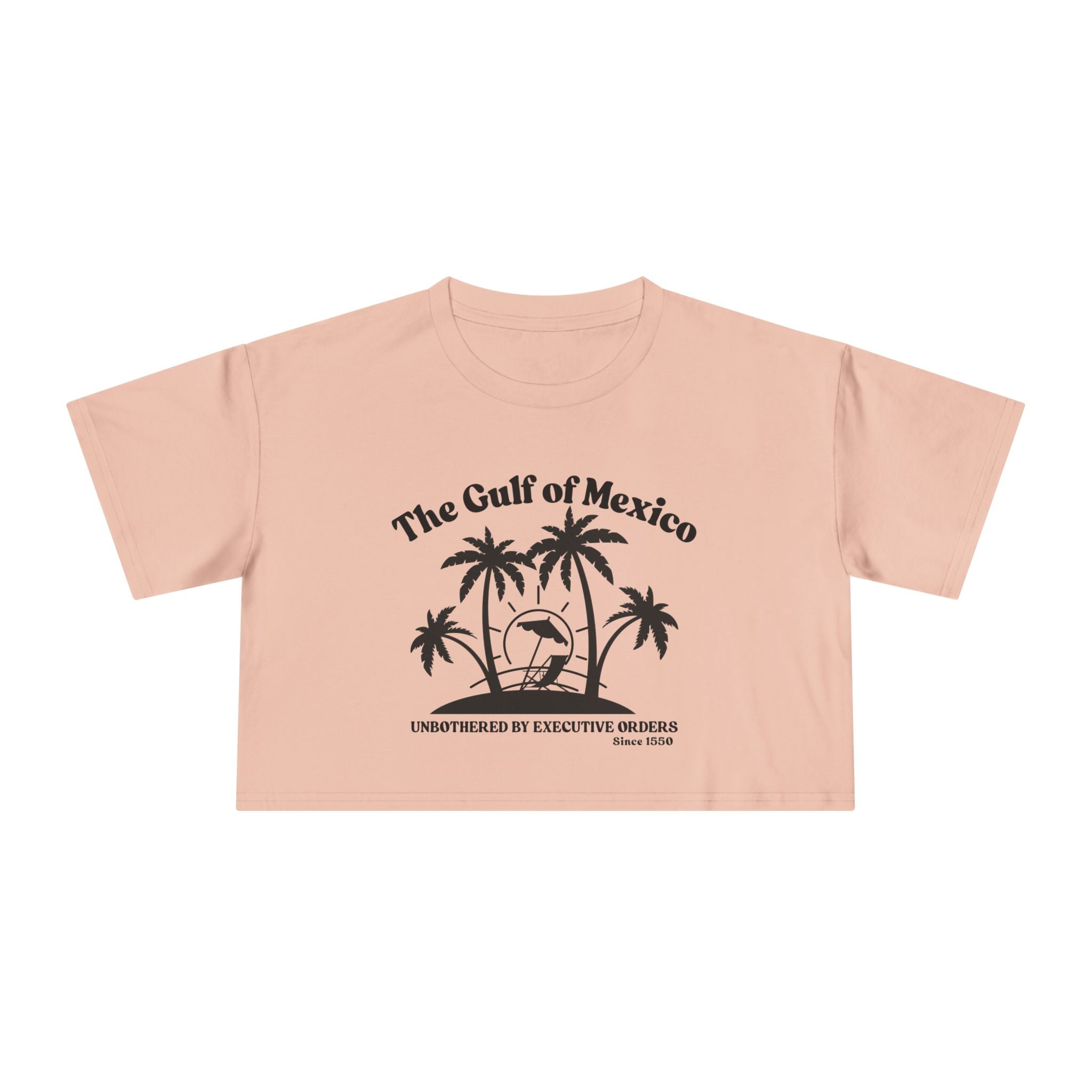 Gulf of Mexico Graphic Crop Tee,  Beachwear Gift for Her, Vacation Top, Gulf of Mexico T Shirt