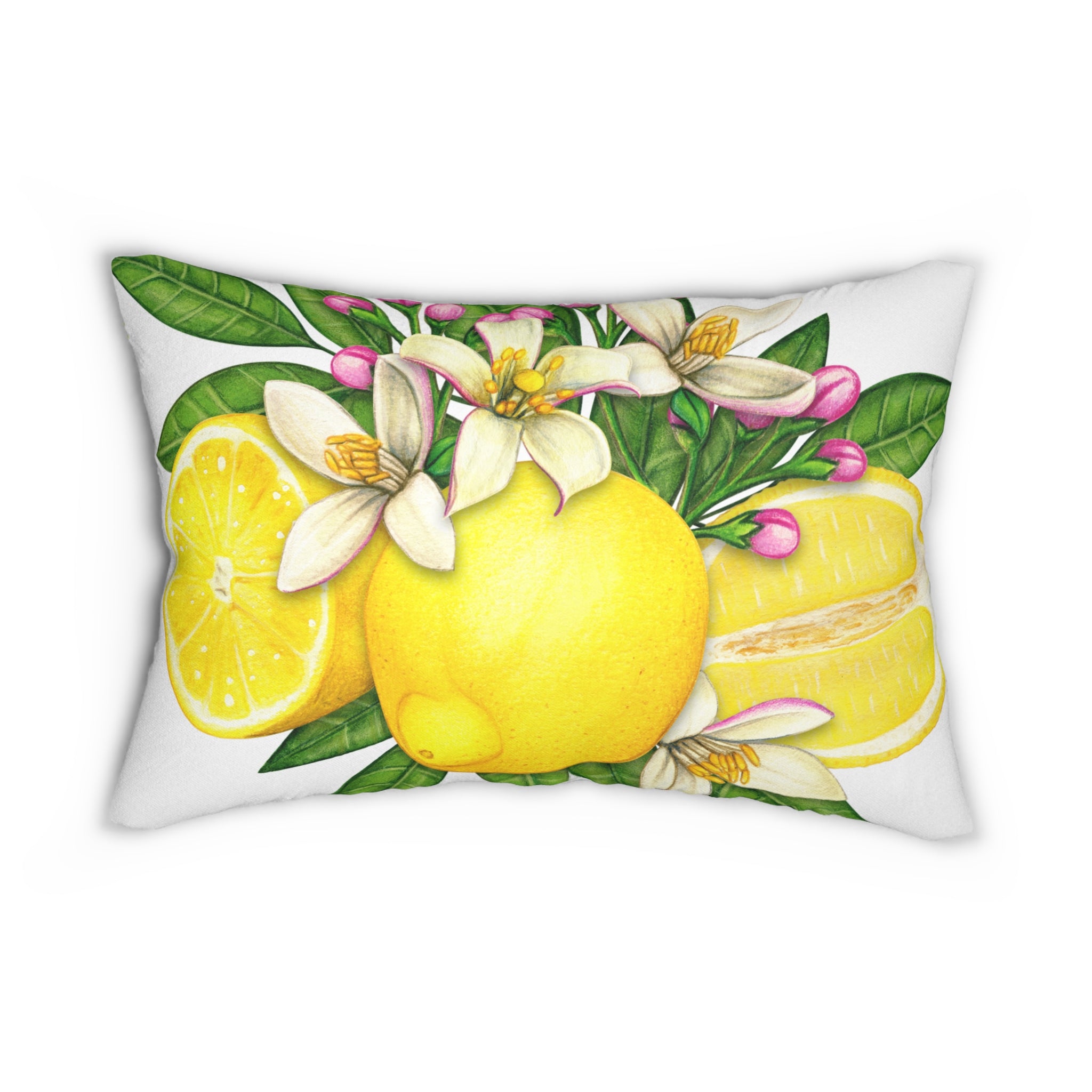 If I Agreed WIth You We'd Both Be Wrong Citrus Floral Decorative Pillow Lemon Throw Pillow Lemon Decor