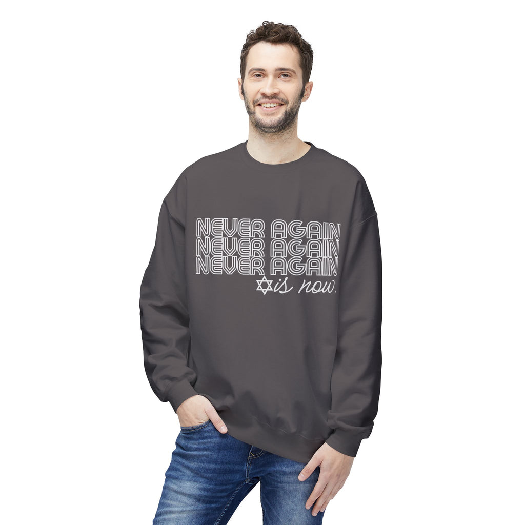 Never Again is Now Sweatshirt to End Jew Hate