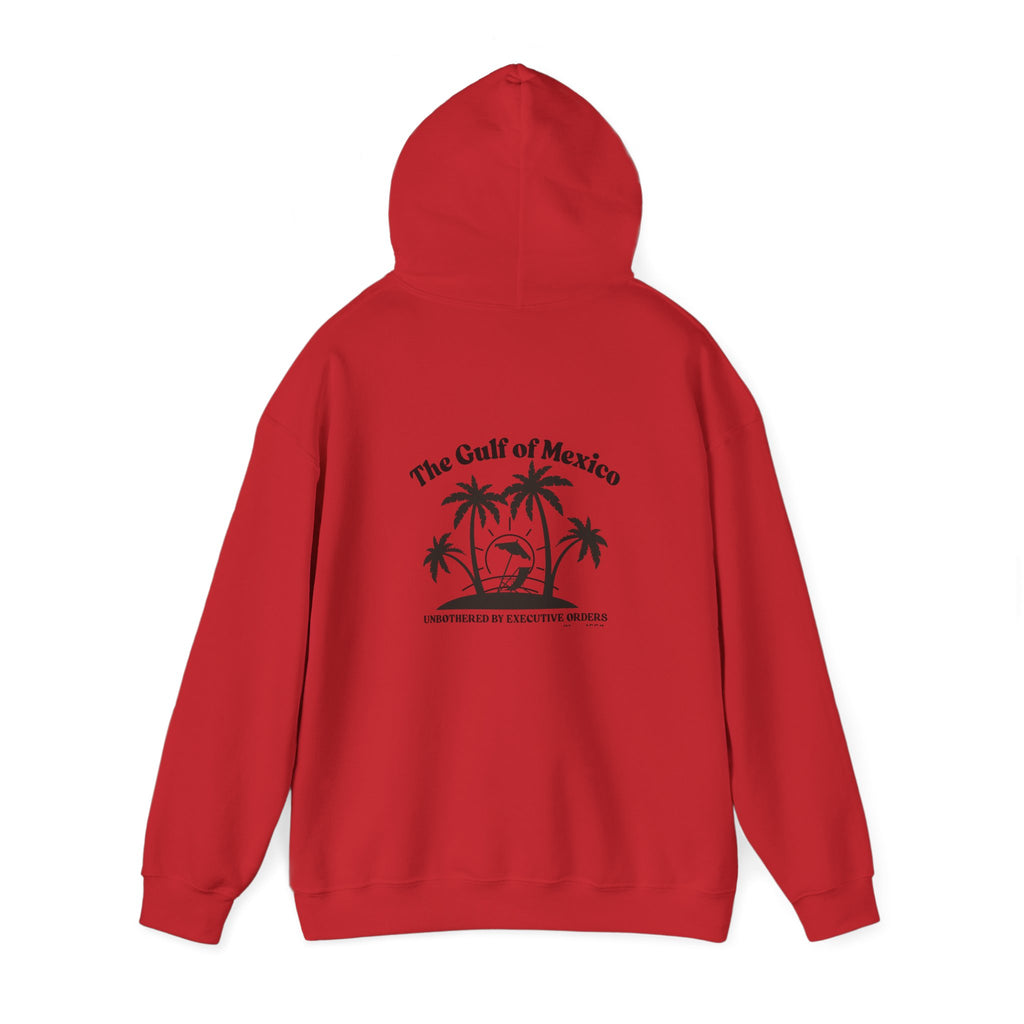 Gulf of Mexico Hoodie Unisex Sweatshirt, Summer Hoodie Gulf of Mexico Since 1550 Vacation Essentials